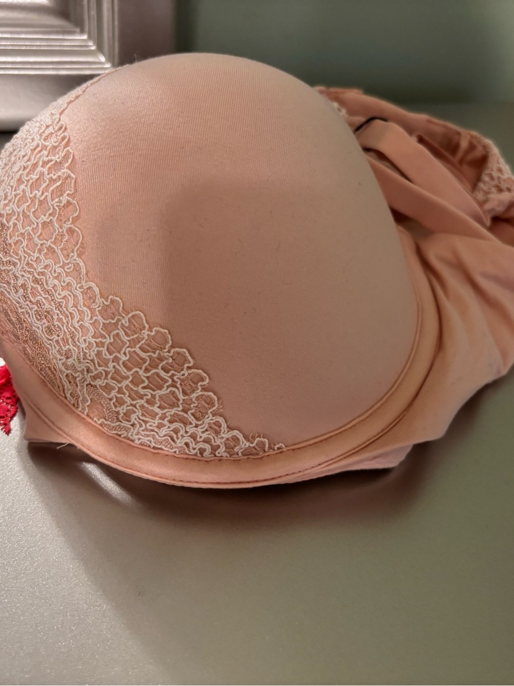 Victoria's Secret Lace-Trim Push-Up Bra in Blush